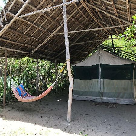 Peponi Beach Resort Pangani Luaran gambar