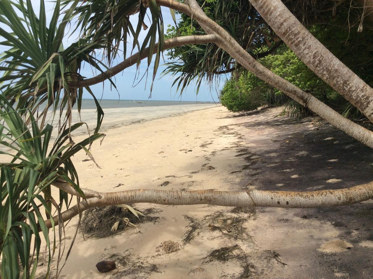 Peponi Beach Resort Pangani Luaran gambar