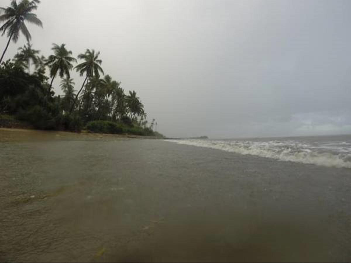 Peponi Beach Resort Pangani Luaran gambar