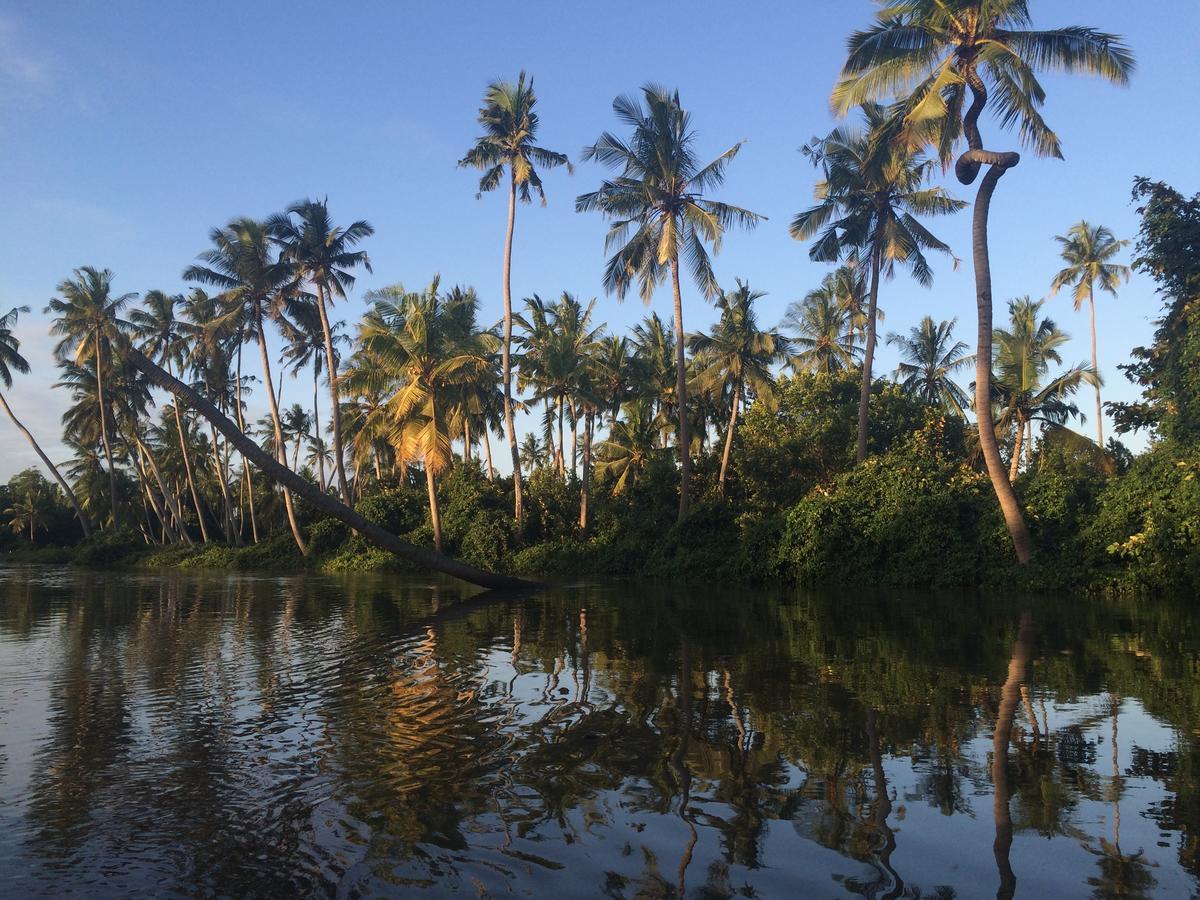 Peponi Beach Resort Pangani Luaran gambar