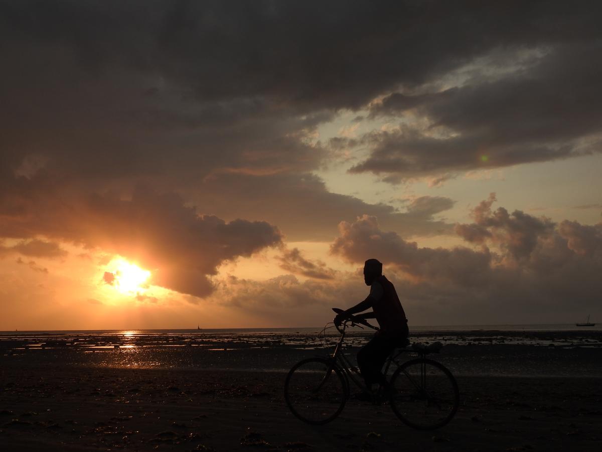 Peponi Beach Resort Pangani Luaran gambar